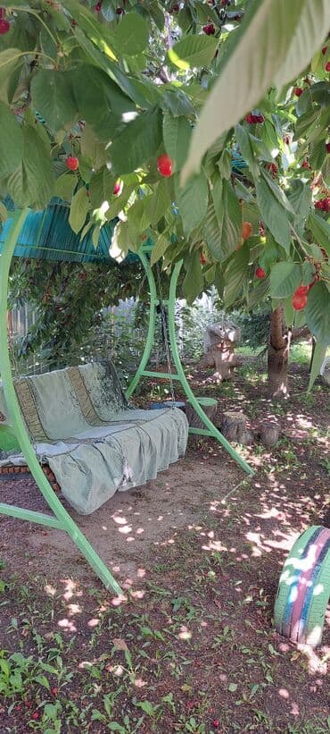 отдых на иссык куле 2021 цены: Номер, Чолпон-Ата, Унаа токтотуучу жай, унаа туруучу жай — 6