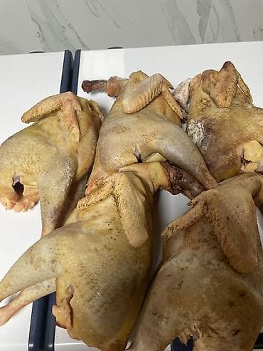 тошоки бишкек: Домашние куры, кормленные кукурузой 600 сом за 1 кг — 1