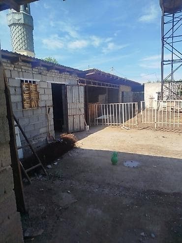 белые ночи отель: Фермерский двор/подворье с хозяйственными постройками и открытыми — 2