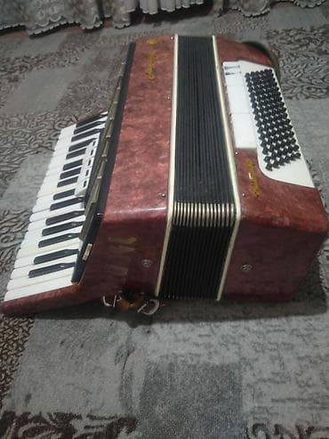 Аккордеоны: Аккордеон «Россий» (надпись на корпусе), красно-коричневый — 5