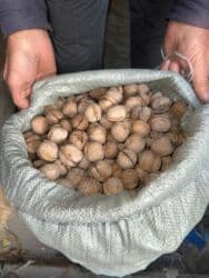 тряпка для посуды цена бишкек: Продаю орехи грецкие 3 мешка, в каждом мешке + 30 кг. Все орехи — 2