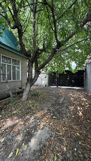 домик вагон: Дом + полдома в районе Церкви, ул. Панфилова. - Площадь участка: 6 — 3