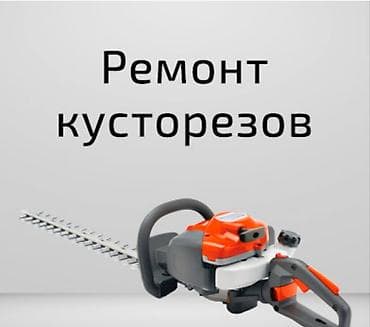мастер утюг: Профессиональный ремонт садовой бензотехники: - Триммеры/мотокосы — 3