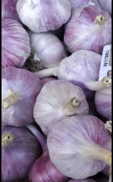 бытовая химия оптом бишкек: Чеснок Оптом, Самовывоз — 2