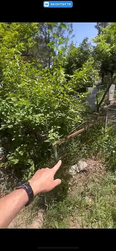 надгробия: Монолит 1-2 года опыта — 2