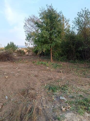 покупаю дом: 5 соток, Красная книга — 2