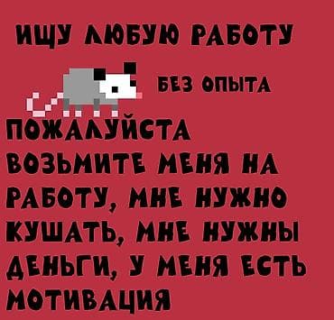 ищю роботу: В ПОИСКЕ ЛЮБОЙ РАБОТЫ Обо мне: 🛎️Я ищу переход от успешной — 1