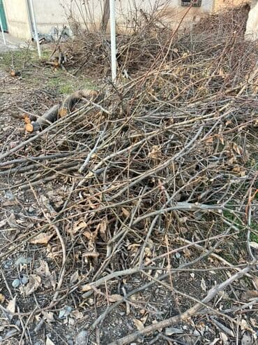 садовая мебель бишкек: Дрова — 2