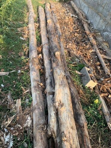 карась рыба: Бревна/жерди из цельного ствола - Порода: естественная древесина — 2