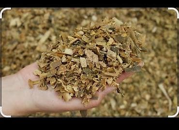 корова ош: Силос сатылат россып .6 сом кг . панфиловка — 1