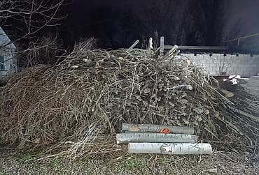 заполнить тетрадь: Самовывоз — 1