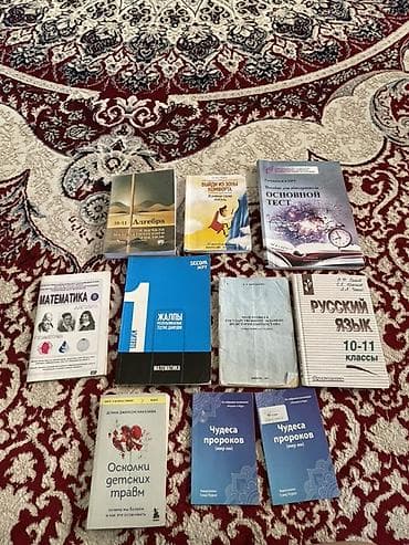 Информатика: Отдам все за 300 Подборка книг и пособий для школьников и общего — 1