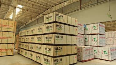 шифанер буу: Фанера оптом и в розницу из дуба и сосны (Китай) 12 1830*91.5*12 — 1