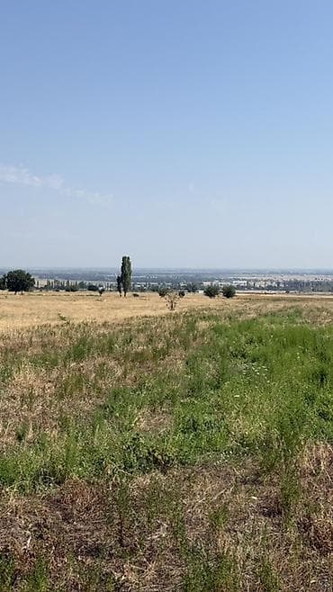 Кыймылсыз мүлк: 100 соток, Айыл чарба үчүн — 2