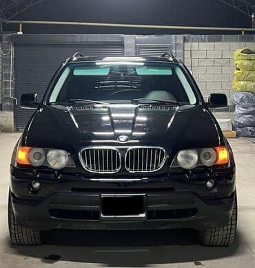 BMW X5: 2002 г., 4.4 л, Автомат, Бензин, Внедорожник