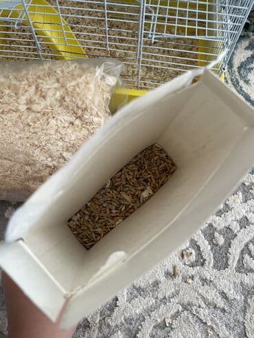 той терьер в добрые руки: Продаем джунгарского хомяка, мальчик, не шумный. Клетка 3-х этажная — 7