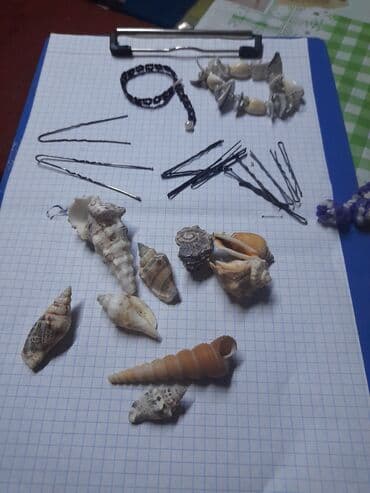 Отдам даром: Отдам даром — 1