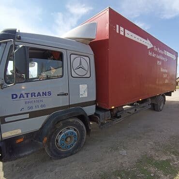 офисные растения: Грузоперевозки — 4