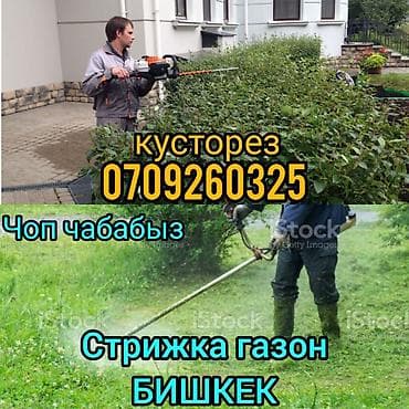 стригу газон: Кусторез Бишкек услуги 

газонокосилка — 1