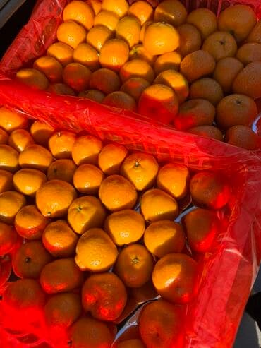 ель голубая цена: Мандарины — 3