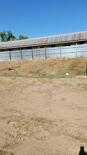 продажа дом военно антоновка: 9 соток, Для бизнеса, Договор купли-продажи — 2