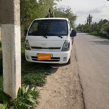 Легкий грузовик, Kia