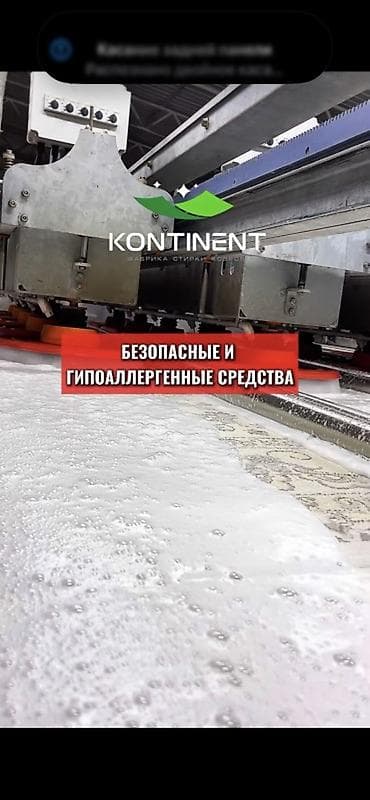 дезинфекция клопов: Стирка ковров, | Палас, Ковер, Бесплатная доставка — 4