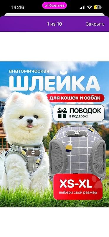 кой мал: Срочно продам шлейку новая!!!!! Покупала оказалась маленькой. Размер — 2