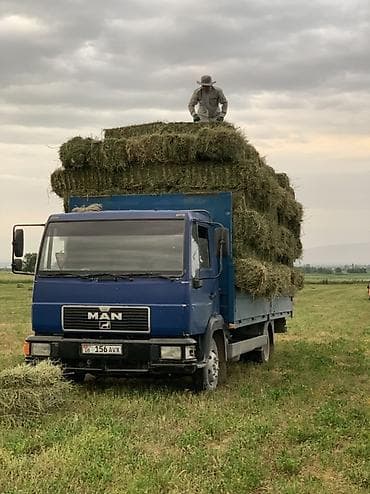 поддон на 124: MAN грузовик-бортовой, синий - Тип: бортовой грузовик (плоская — 1