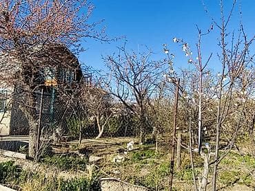 коттедж цо париж: Продаётся дача в городе Балыкчи, садовое общество «Абрикос» — 7