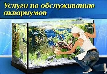 Буюртмага тосмолор: Предлагаем услуги по чистке аквариумов. профессиональный подход наших — 2