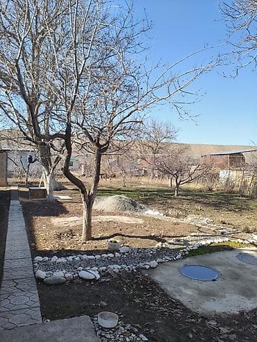 двухкомнатный дом: 9 соток, Красная книга — 1