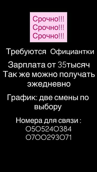 yojik group: Требуется Официант Без опыта, Оплата: Ежедневно — 1