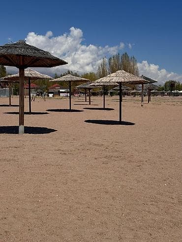 продаю дом бишкек чон арык: Сдается квартира на Иссык куле 1+1 студия. для семьи из 4-5 человек — 8