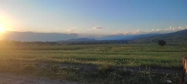 выход к реке: 5 соток, Для бизнеса, Красная книга — 6