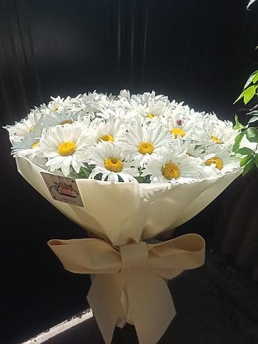 Оптом и в розницу 💐Ромашки (садовые, крупноцветковые) - Белоснежные