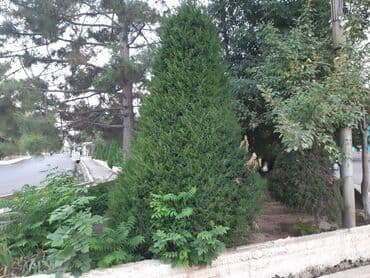 дом на иссык куле купить: 15 кв. м, Эмереги менен — 30