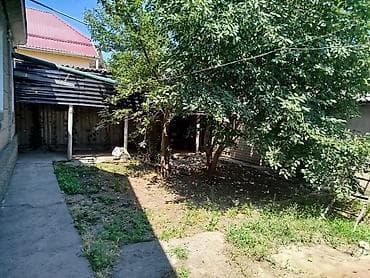 виноградники: Продаётся земельный участок с жилой застройкой и плодовым садом — 6