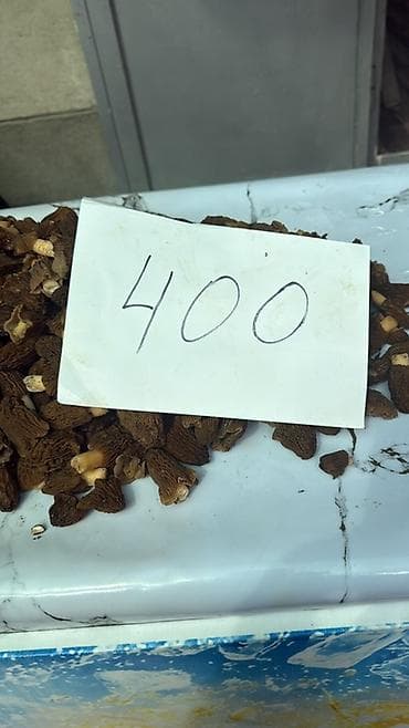 банки маленькие купить: Сморчки лесные (свежесобранные) - Ароматные весенние грибы со — 3