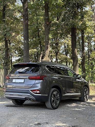 2025: Hyundai Santa Fe: 2019 г., 2 л, Автомат, Дизель, Кроссовер — 7