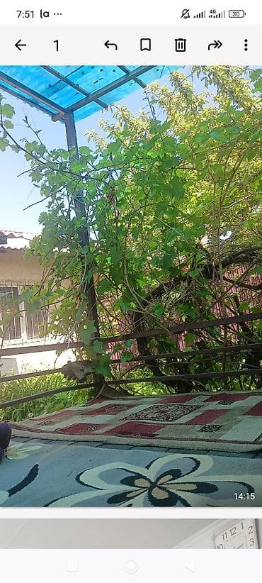 сдаём дом: Продаю дом в село таш добо — 6