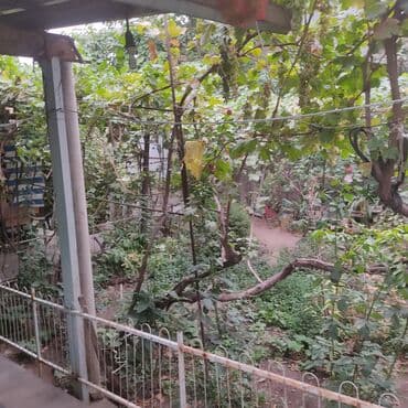 очен срочно: Үй, 77 кв. м, 4 бөлмө, Кыймылсыз мүлк агенттиги, Эски ремонт — 6