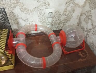 сколько стоит машинка для стрижки баранов: Договорная — 4