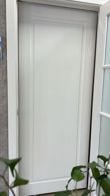 двери мешкомнатный: МДФ, Распашная — 2