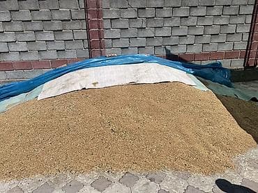 наматрасник цена: Продается пшеница! 🌾 Продается пшеница. * Объем: 3 тонны * Цена: 21 — 1