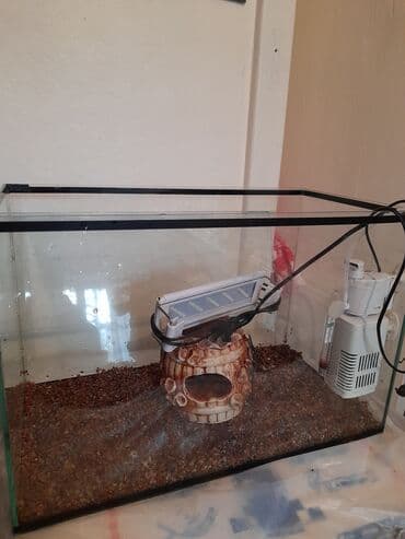 новый посуда: 1-800с
2-400с нержавейки 
3-новый 700с.
4-300с
5-2000с — 5