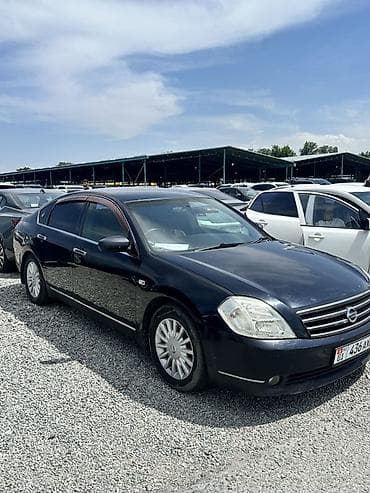 daf 75: Nissan Teana: 2003 г., Автомат, Седан — 6