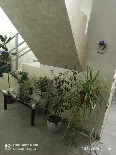 хостел бишкек рядом: Хостел, ХостелХОСТЕЛ, Халал Сдается койка по суточнохостел — 4