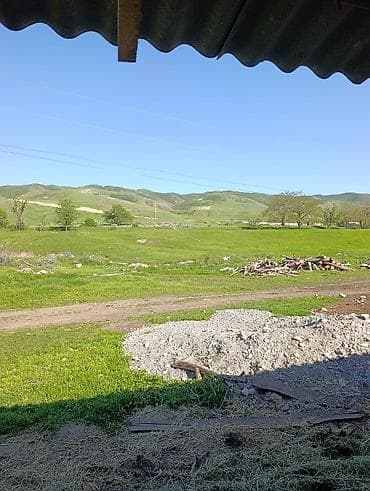 юбка пиджак: Требуется Скотник, Оплата: Ежемесячно — 3