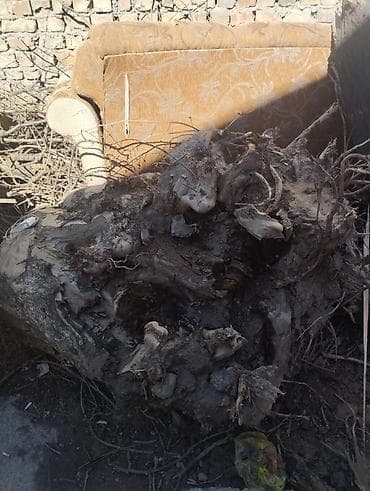 резка по дереву: Дрова — 3